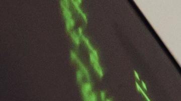 Hacker de Poly Network recibe oferta de $500,000 dólares.