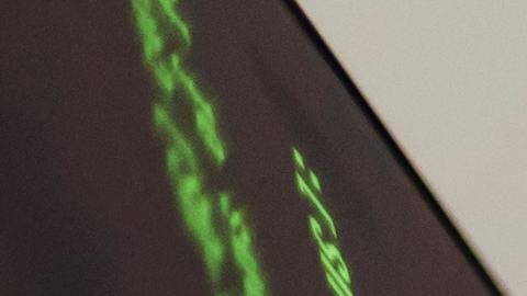 Hacker de Poly Network recibe oferta de $500,000 dólares.