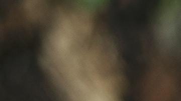 Ritual contra brujerías