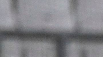 Rubén Semedo fue detenido nuevamente.