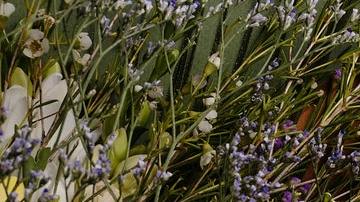 Significado espiritual de agosto