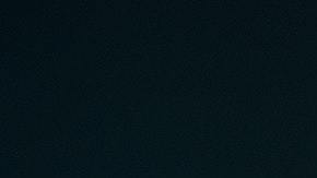 Supersticiones sobre animales