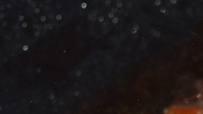 Este año no ha sido bueno para los productores de carne, en especial para quienes producen tocino.