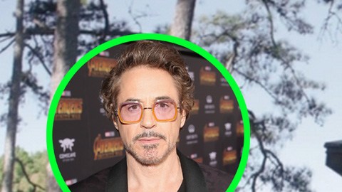 Cabaña 'Avengers: Endgame'