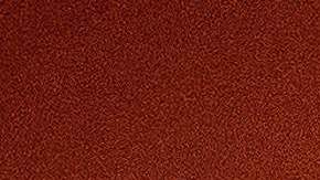 Louis van Gaal, DT de Países Bajos.