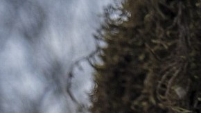 Significado del viernes 13