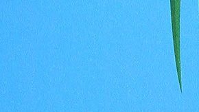 Martha Higareda | Mezcalent.