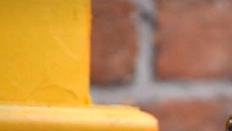 Sherlyn | Mezcalent.