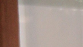 Alexis Ayala | Mezcalent.