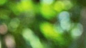 José Ron | Mezcalent.