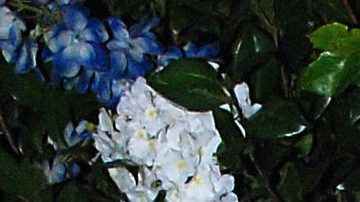 "Perdí totalmente el oído": Dice Sergio Mayer sobre su estado de salud