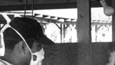 La escena que capturó esta foto de 1956 ha sido descrita como "un momento atroz".