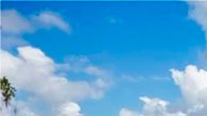 ciudad maya de Tikal, en Guatemala