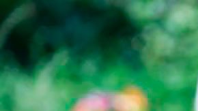 Asesinato en Londres