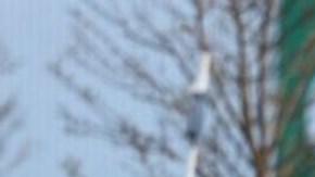 La policía mató al hombre a los 60 segundos después de iniciado el ataque.