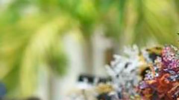 Panamá celebra su independencia de España cada 28 de noviembre.