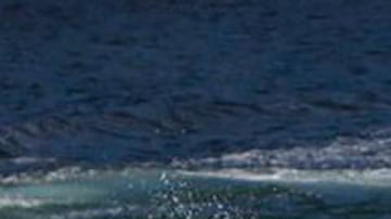 Las cacerías de cetáceos en Islas Feroe se organizan a nivel comunitario, a menudo de forma espontánea cuando alguien detecta una manada. (Imagen de archivo)