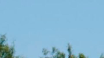 Agentes fronterizos deteniendo a haitianos