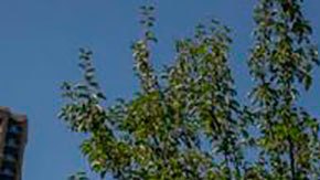 Un complejo residencial construido por Evergrande en Pekín.