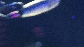 Caifanes | Mezcalent.