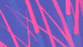 Danna Paola | Mezcalent.