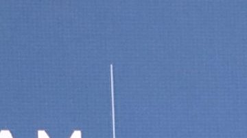 Laisha Wilkins | Mezcalent.