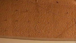 Un terremoto de magnitud 7.1 sacudió a México la noche de este martes, con epicentro en Acapulco.