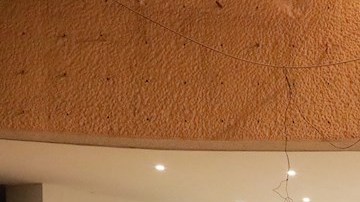 Un terremoto de magnitud 7.1 sacudió a México la noche de este martes, con epicentro en Acapulco.