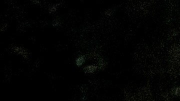 Fuego dentro del tronco de un árbol en el "Sendero de los 100 gigantes" en el Parque Nacional Sequoia.