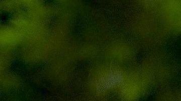 Camila Fernández, hija del "Potrillo" | Mezcalent.