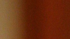 Andrea Legarreta | Mezcalent.