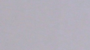 Inés Gómez Mont reaparece y se declara inocente por delitos de fraude