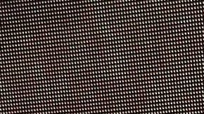 Vanessa Guzmán | Mezcalent.