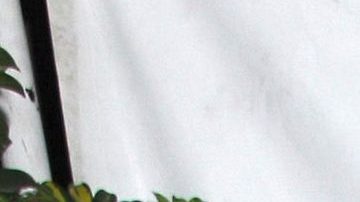 Laura Bozzo | Mezcalent.