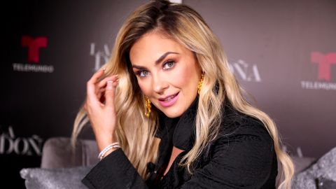 Aracely Arámbula destapa cómo celebrará los 15 años de su hijo con Luis Miguel