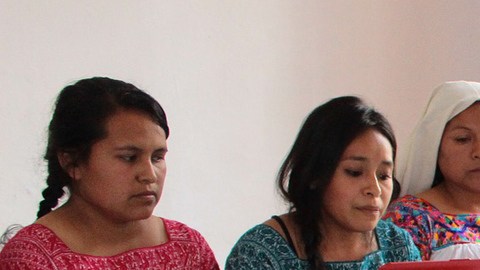 Indígenas despojados de sus tierras