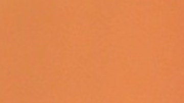 Alicia Machado - Celia Lora | Mezcalent.