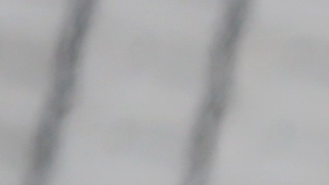 Argentina se retiró del campo luego de que las autoridades sanitarias intentaran retirar a la fuerza a 4 futbolistas.