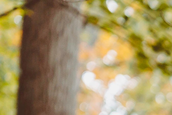 Foto de la Ford Bronco 2021 con una carpa