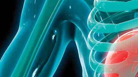 CR-Health-InlineHero-How-to-Take-Care-of-Your-Liver-0821