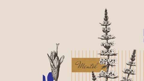 CR-SP-Inlinehero-vicks-vaporrub-V2-0921