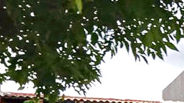 Ataque con paquete bomba deja 2 muertos y 4 heridos en restaurante