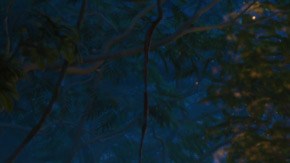 La fauna y la flora de Colombia también tienen presencia en "Encanto". / Foto: Disney