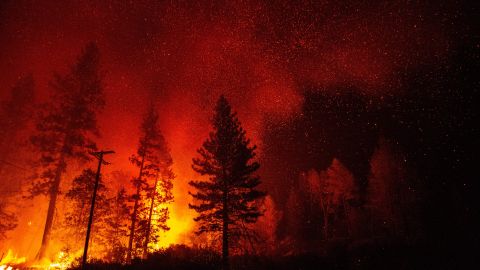 Exprofesora de yoga acusada de incendio provocado en el norte de California