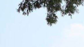 AMLO y Claudia Sheinbaum inauguran en la CDMX la primera sucursal del Banco del Bienestar.