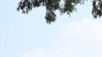 AMLO y Claudia Sheinbaum inauguran en la CDMX la primera sucursal del Banco del Bienestar.