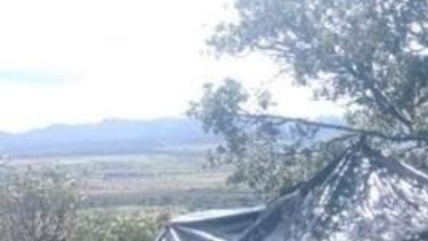 FOTOS: Desmantelan narcocampamentos luego que CJNG exhibiera cabezas de integrantes del Cártel de Sinaloa