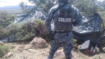 FOTOS: Desmantelan narcocampamentos luego que CJNG exhibiera cabezas de integrantes del Cártel de Sinaloa