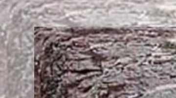 Familia completa es mutilada e incinerada en México