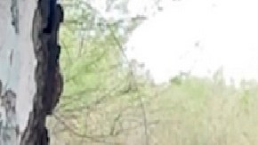 Fotos: Hallan centro de exterminio narco en zona fronteriza